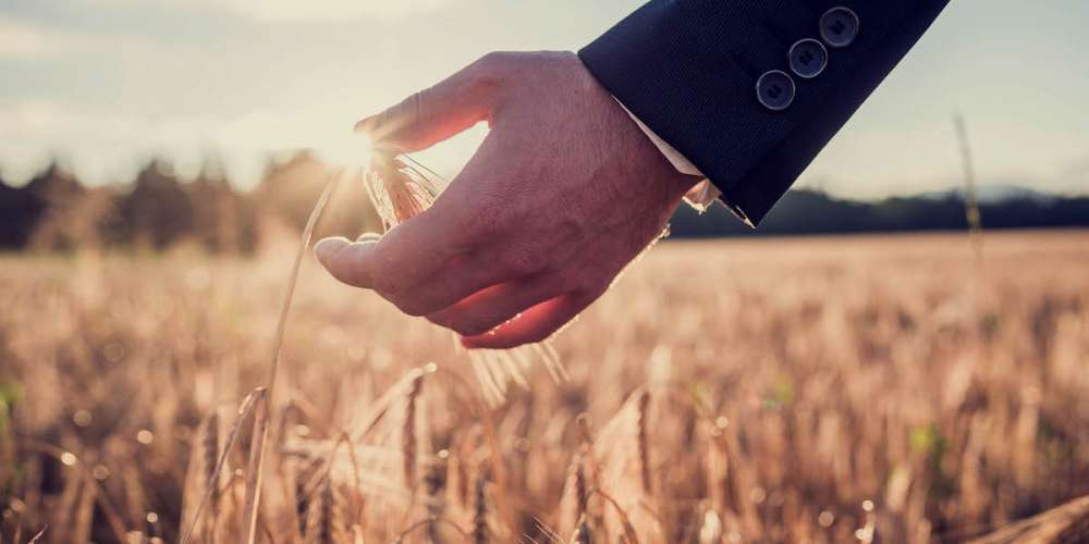 СК «Согласие» выплатила СПК «Победа» свыше 5 млн руб. за потерю урожая