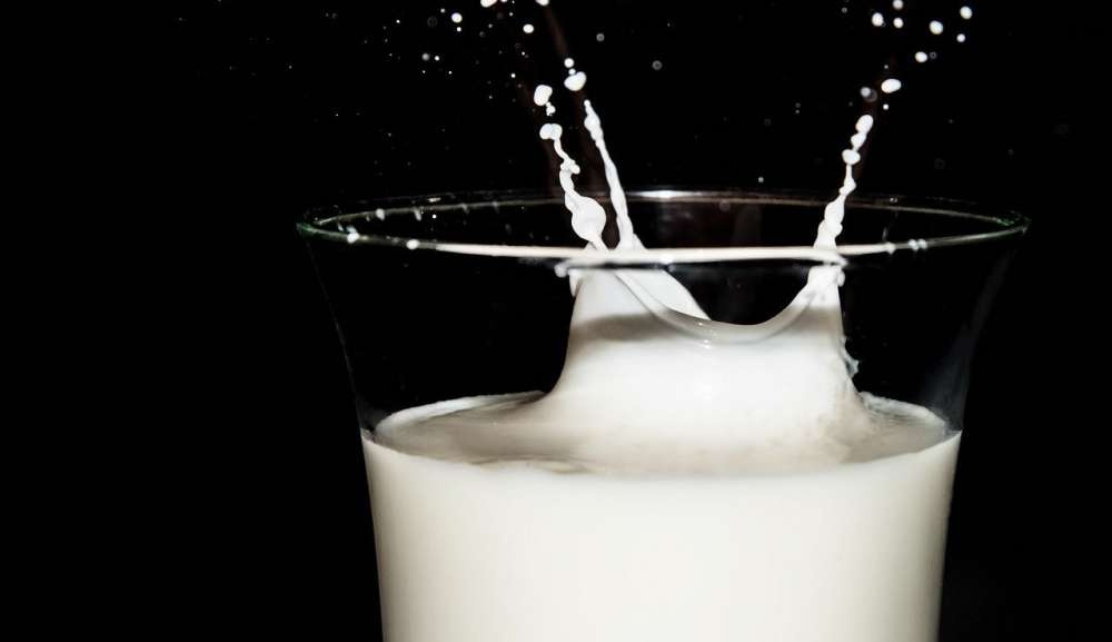 Южный молочный союз: Общепит не защищен от вброса молочного фальсификата