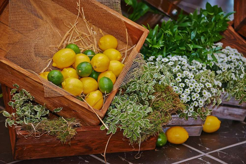Россия — важный рынок для египетских лимонов