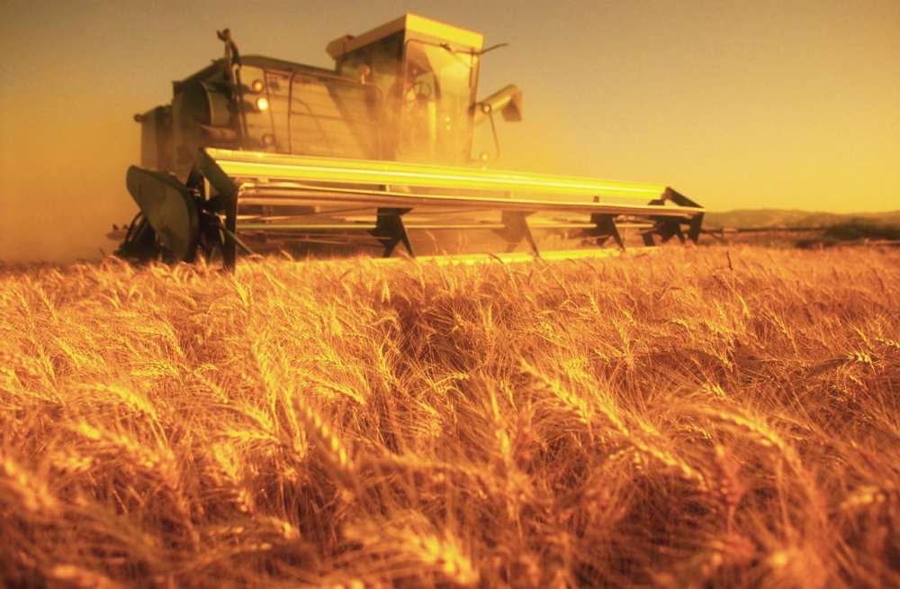 «Сингента» представила 5-й Индекс развития сельхозпроизводителей России