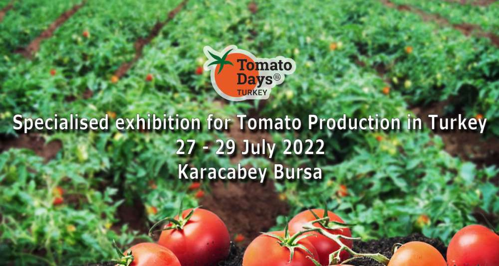 DLG проведет в Турции выставку по выращиванию томатов в открытом грунте