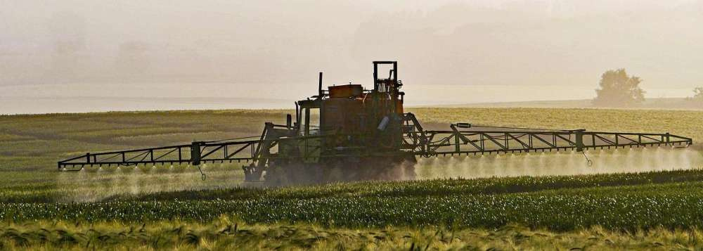 Правительство утвердило перечень общедоступной информации о применении пестицидов и агрохимикатов