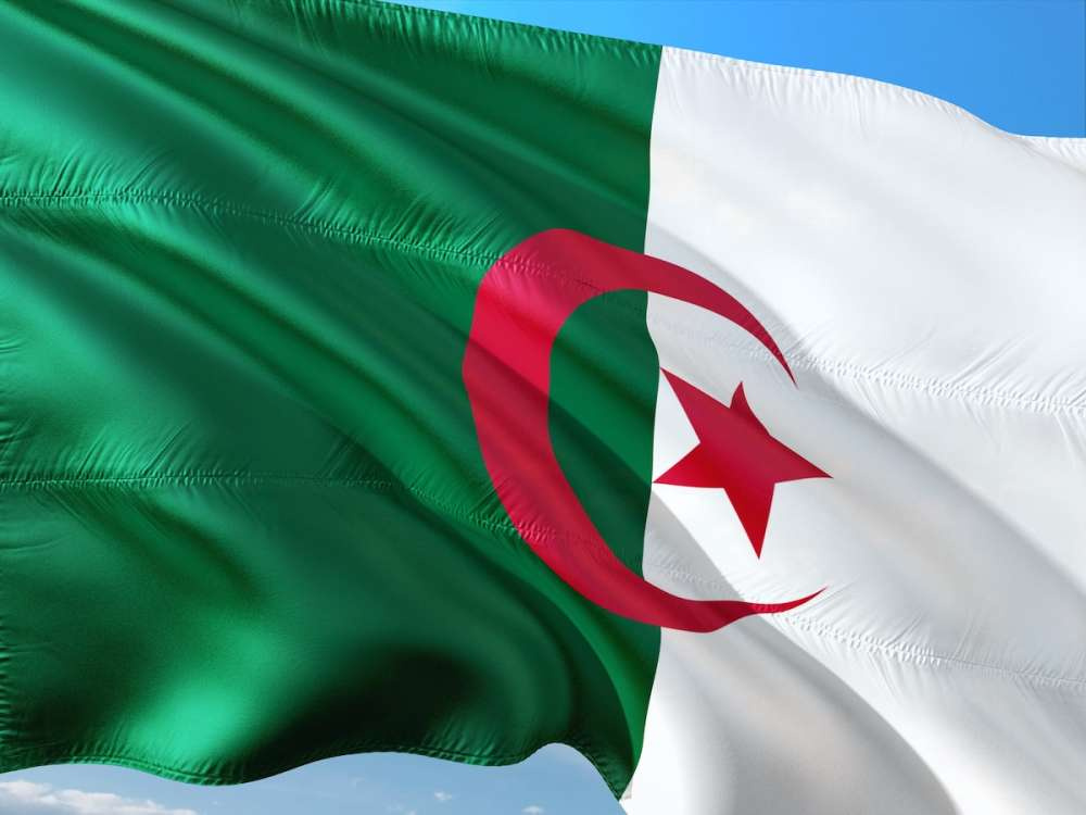 Алжир становится перспективным рынком для российской пшеницы