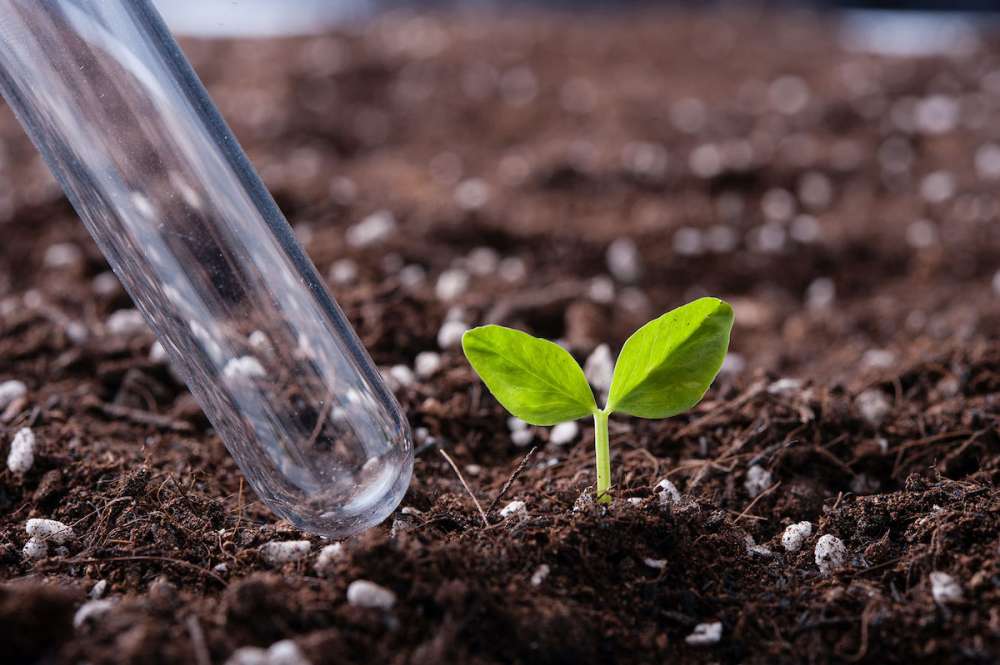 "Агросила" начинает использование органического удобрения, обогащенного йодом