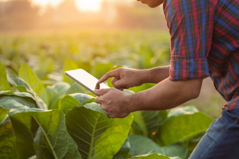 Bayer опробует генеративную систему ИИ для сельского хозяйства