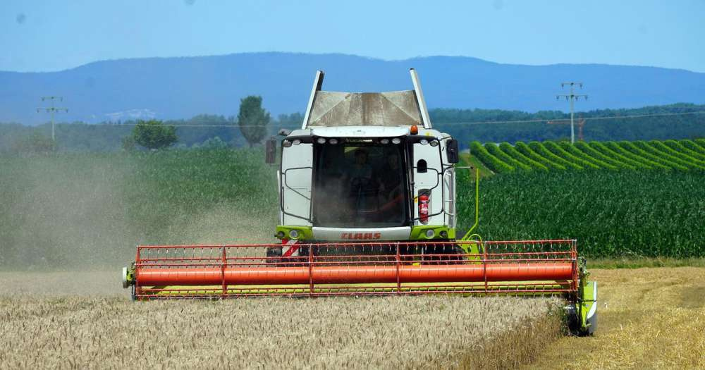 Казахстан приостановил ограничения на экспорт пшеницы и муки