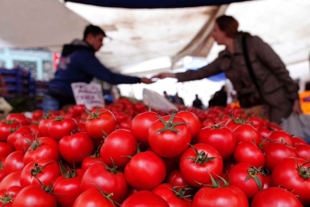 Эксперты прогнозируют стагнацию тепличной отрасли в связи с отменой квоты на импорт турецких овощей