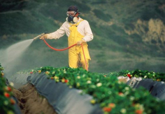 Опасные пестициды с доставкой на дом