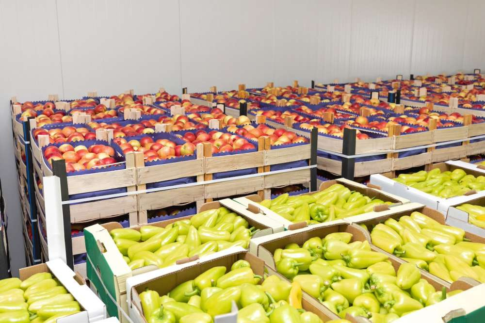 Закон об агрегаторах фермерской продукции вступил в силу