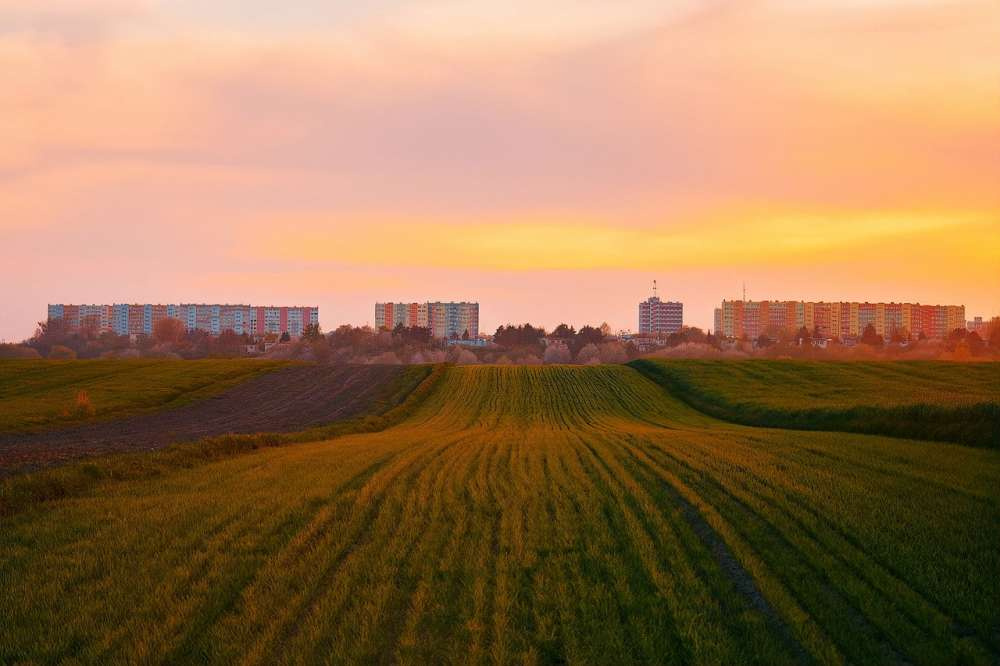 Стартовал фотоконкурс «Сибирь аграрная»