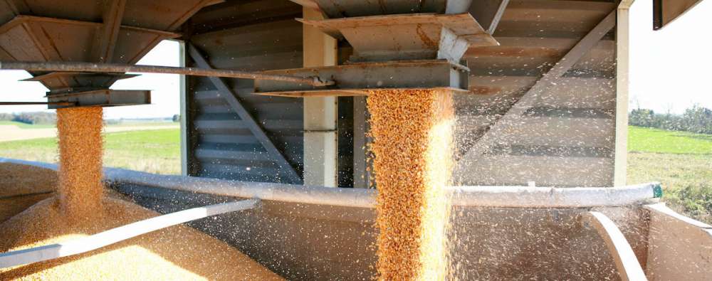 Экспорт зерна из Украины снизился на 18%
