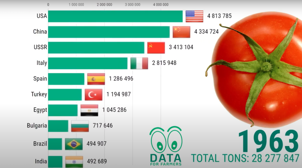 Топ 10 стран-производителей томатов