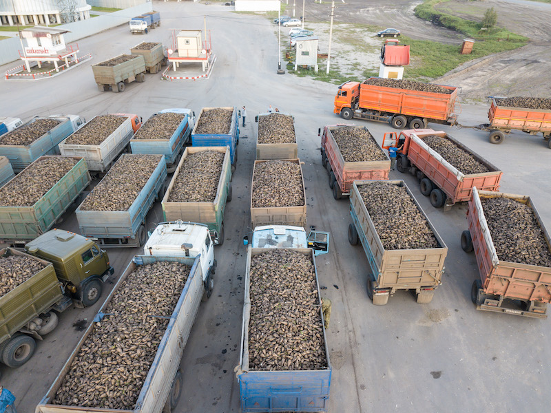 Аграрии Пензенской области получили 2 млн тонн сахарной свеклы