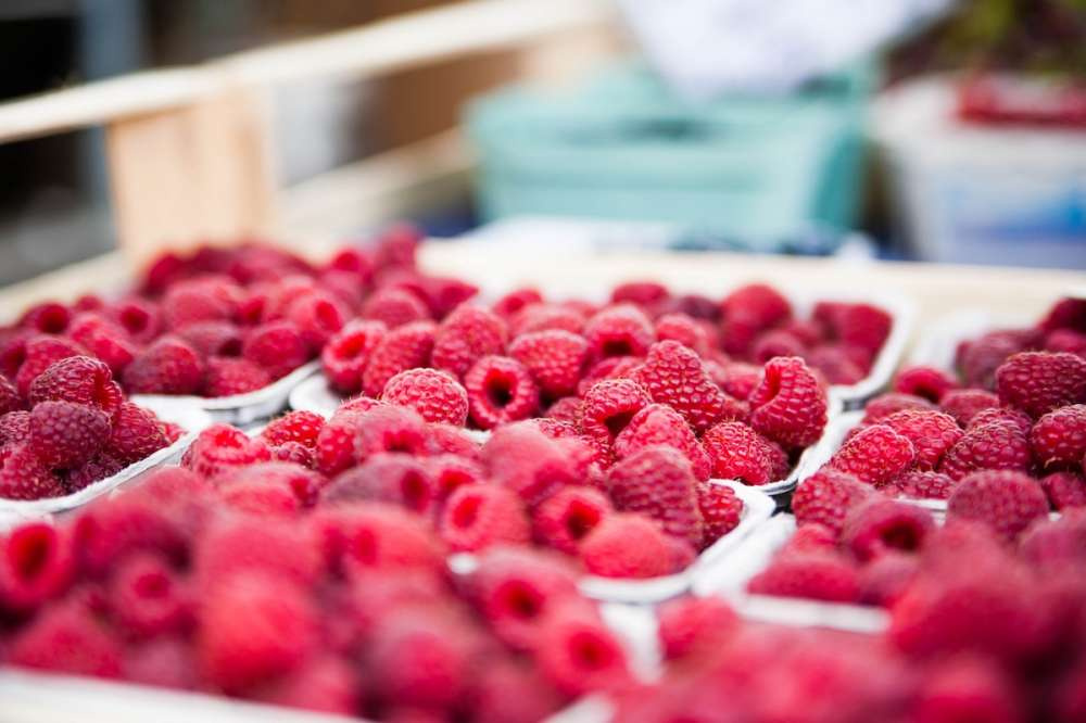 Сбор плодово-ягодной продукции в России планируется увеличить до 2,5 млн тонн к 2025 году