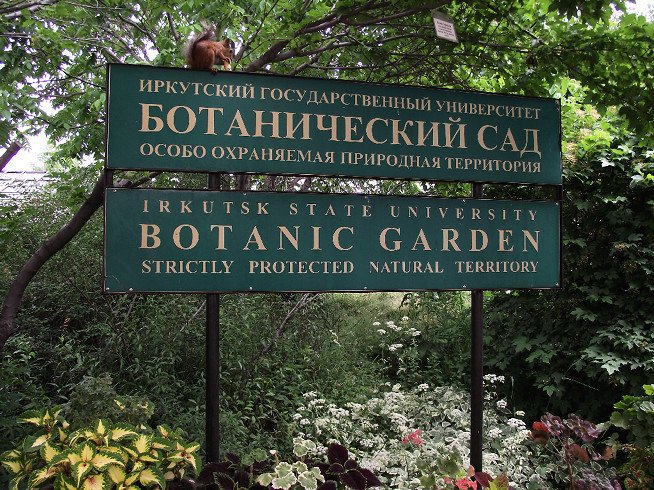 Иркутский Ботанический сад организует курсы по садоводству