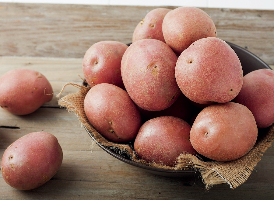 Испытание сибирских гибридов картофеля