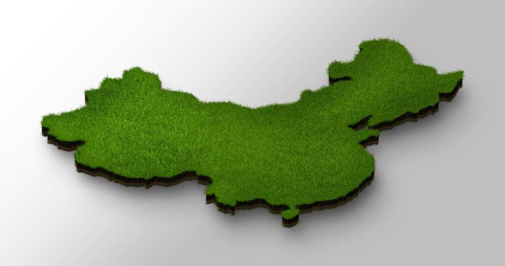 К 2025 году Китай будет почти полностью обеспечивать себя пшеницей и рисом