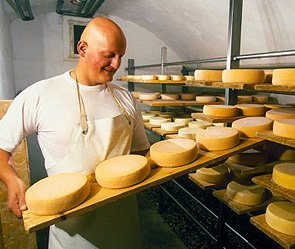 Производство сыра в России увеличилось на 18%