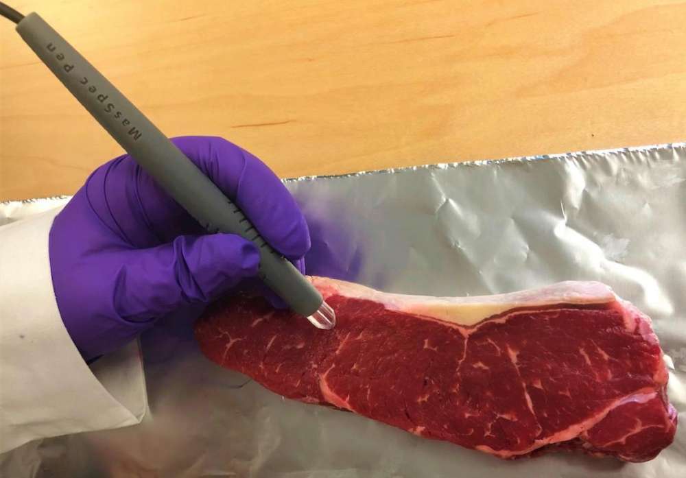 Портативная ручка позволит выявить мошенничество с мясом и рыбой за 15 секунд