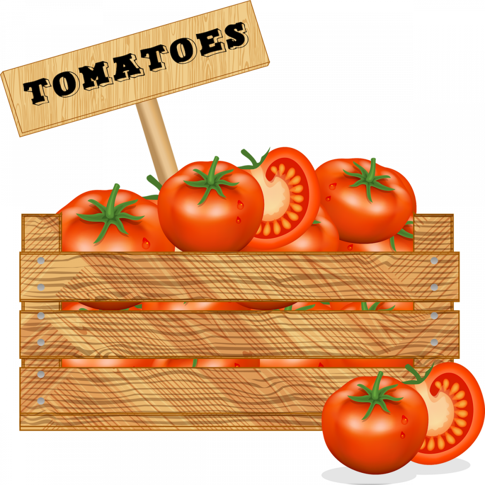 Топ-10 стран-экспортеров томатов в 2020 году