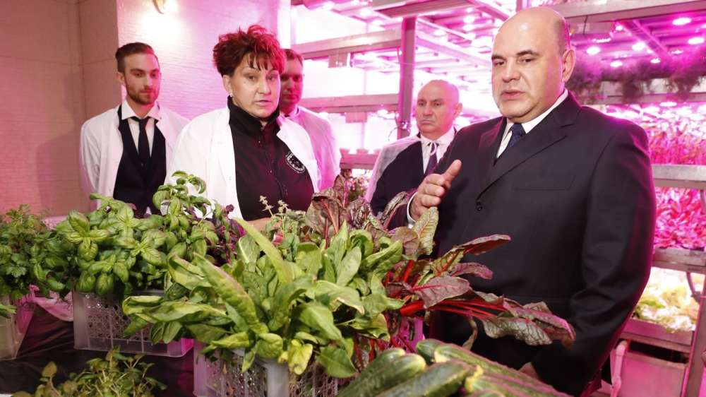 Михаил Мишустин посетил тепличный комплекс по выращиванию овощей защищённого грунта в Анадыре
