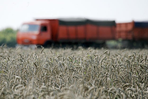 Липецкие власти ожидают от растениеводов в 2014 году продукции на 44 млрд рублей
