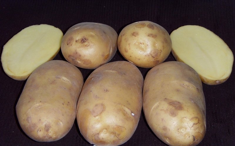 Ультраранний сорт картофеля \
