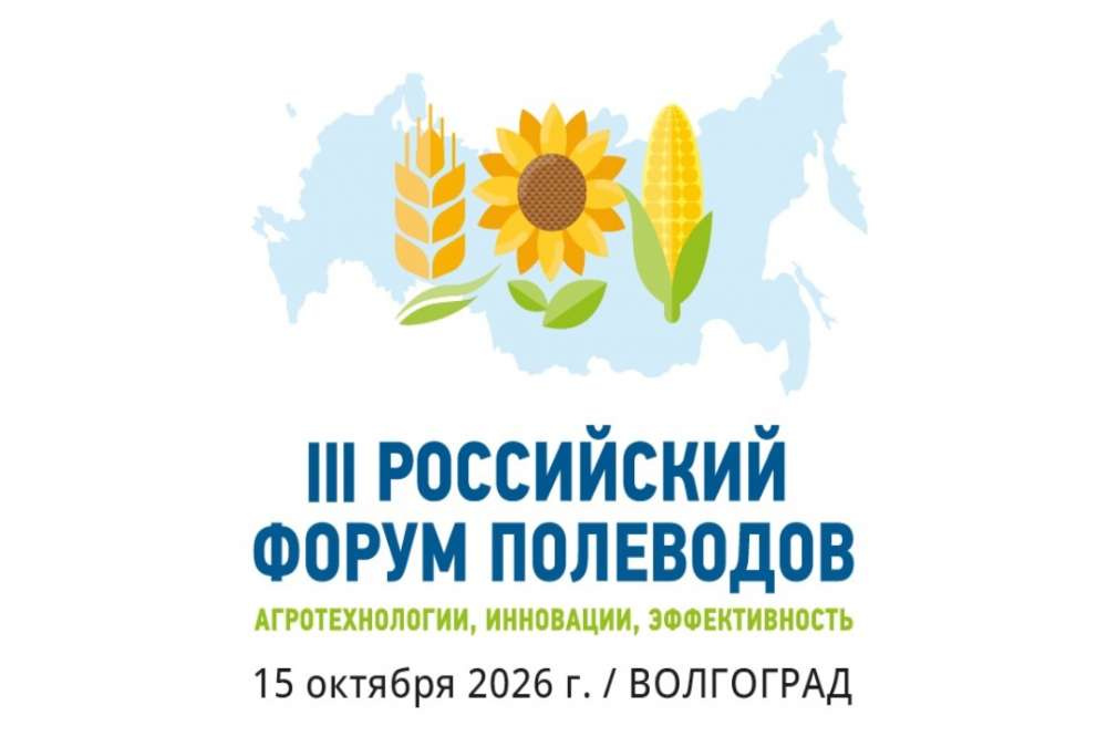 Что делать, когда зерновой рынок переживает непростой период?