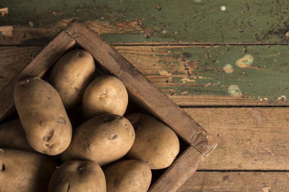 Россельхознадзор может рассмотреть возобновление импорта в РФ картофеля из трех зон Египта