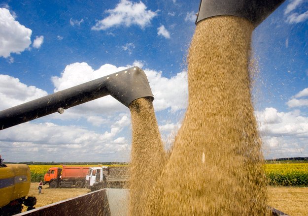 Россия уже экспортировала более 4 миллионов тонн зерна