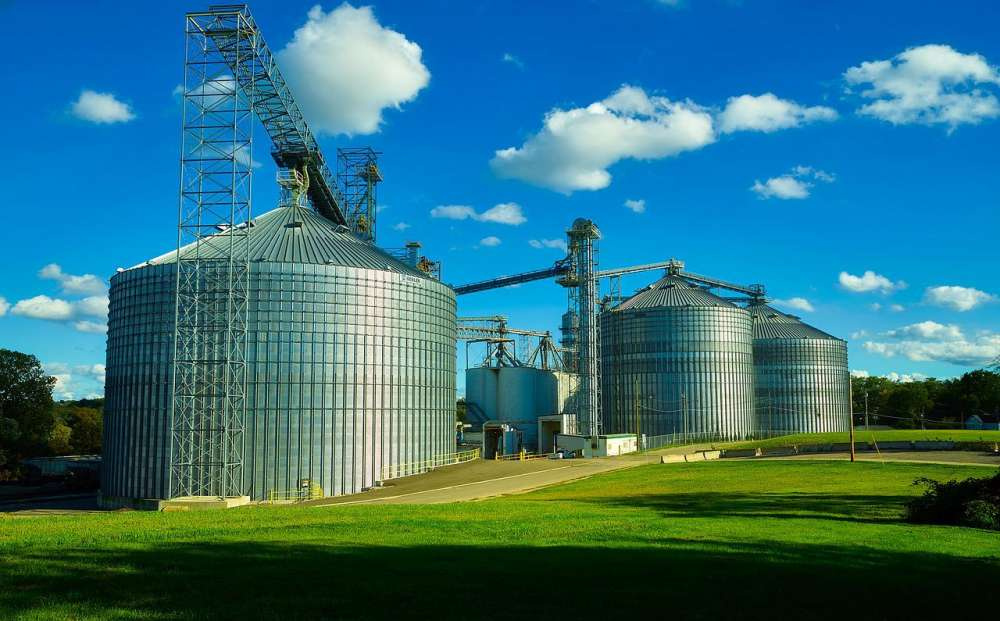 IGC: Мировое производство зерна и его запасы снизятся