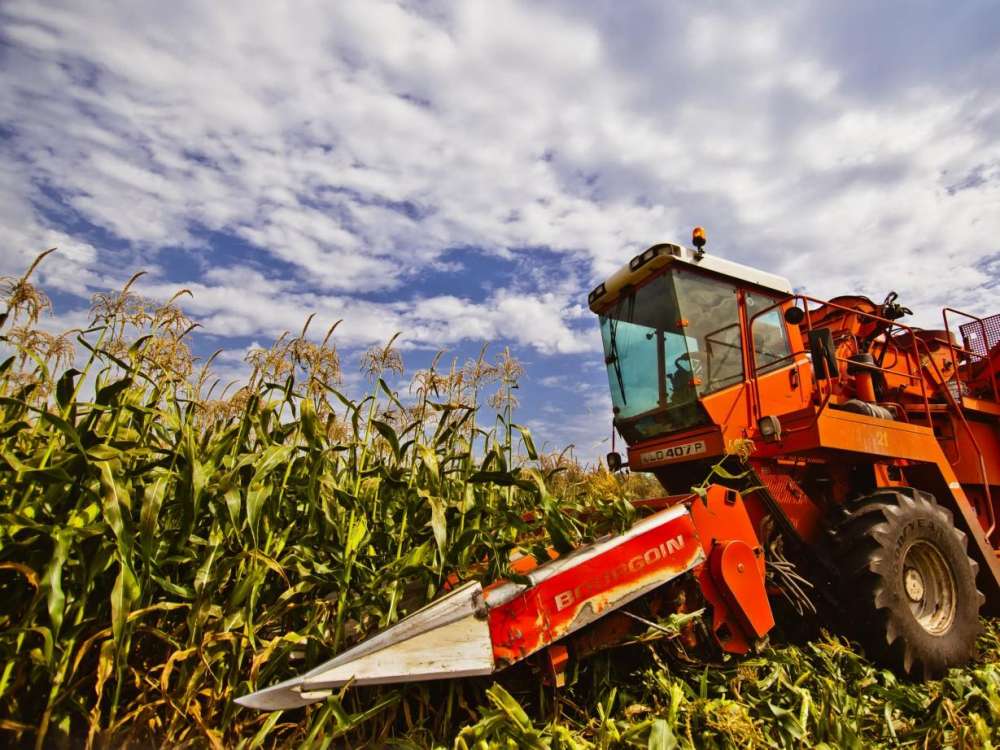 Украина решила продолжить экспорт кукурузы