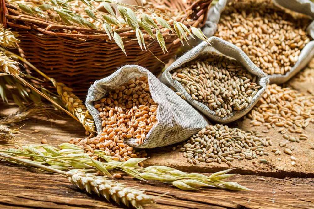 МСЗ прогнозирует рекордный объем производства кукурузы, пшеницы и сои в сезоне 2020/21