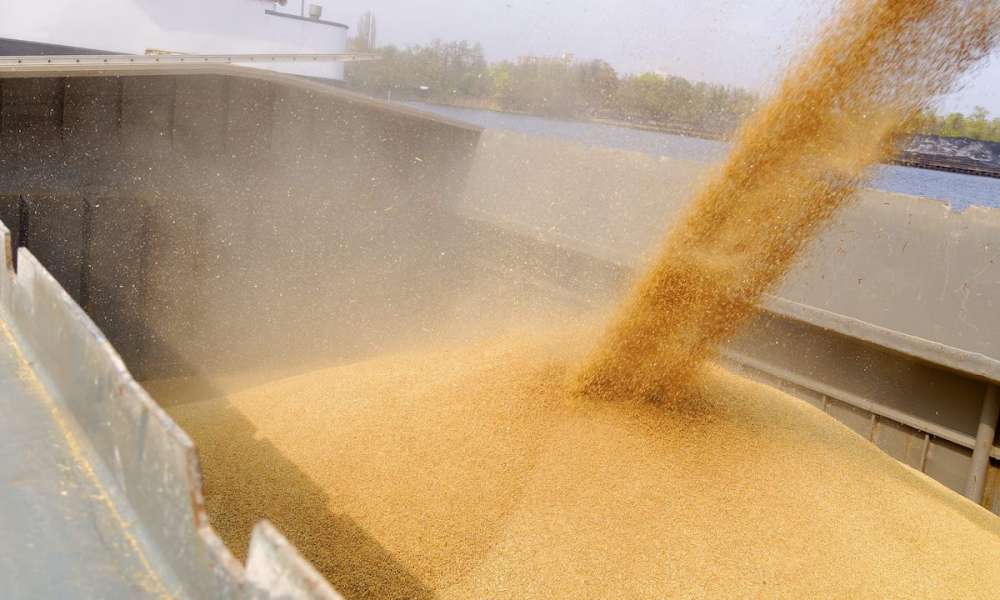 До конца сезона по квоте осталось вывезти 700 тыс. тонн зерна