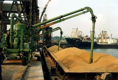Экспорт российского зерна с июля 2013 года вырос на 41 процент