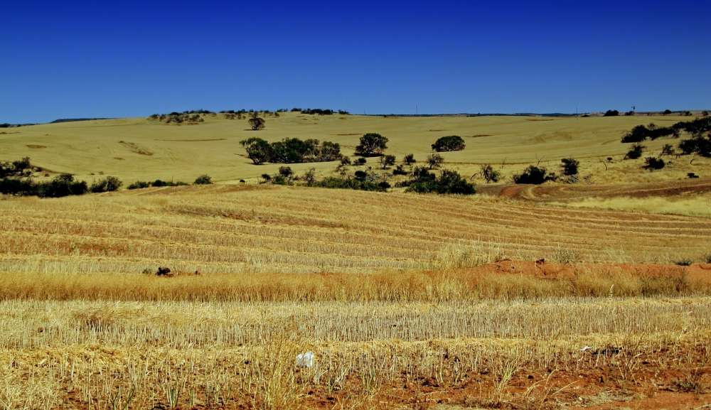 Австралия испытывает большие трудности с производством зерна