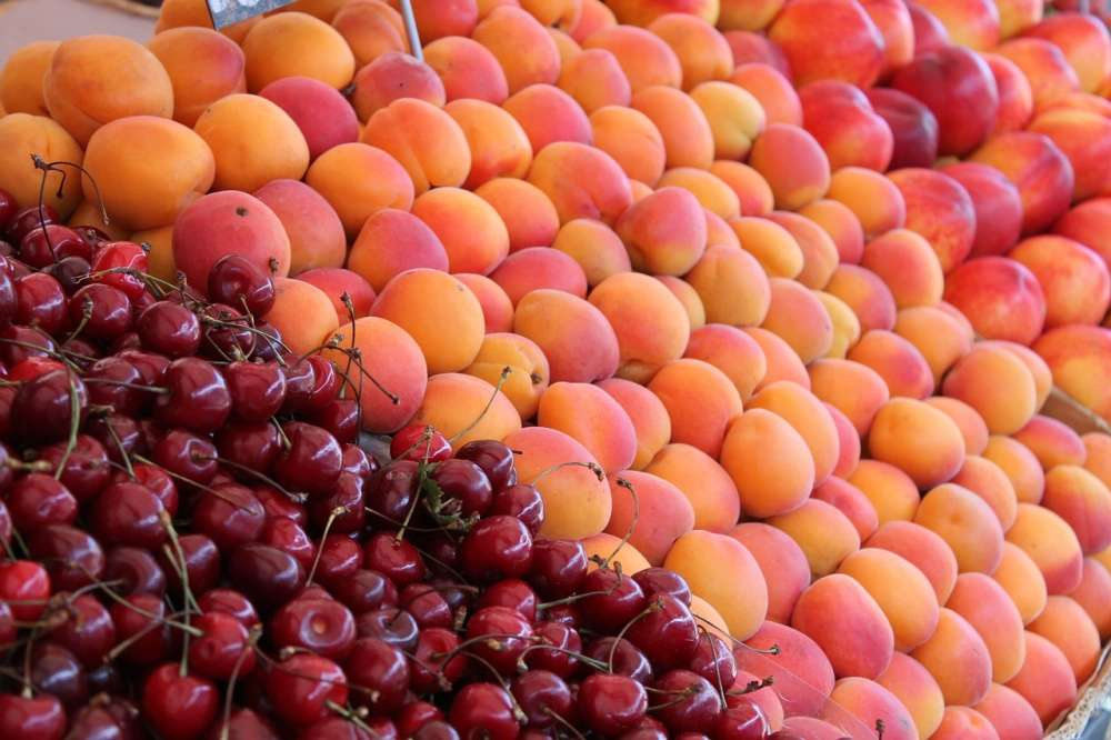 Россия остается главным мировым импортером персиков