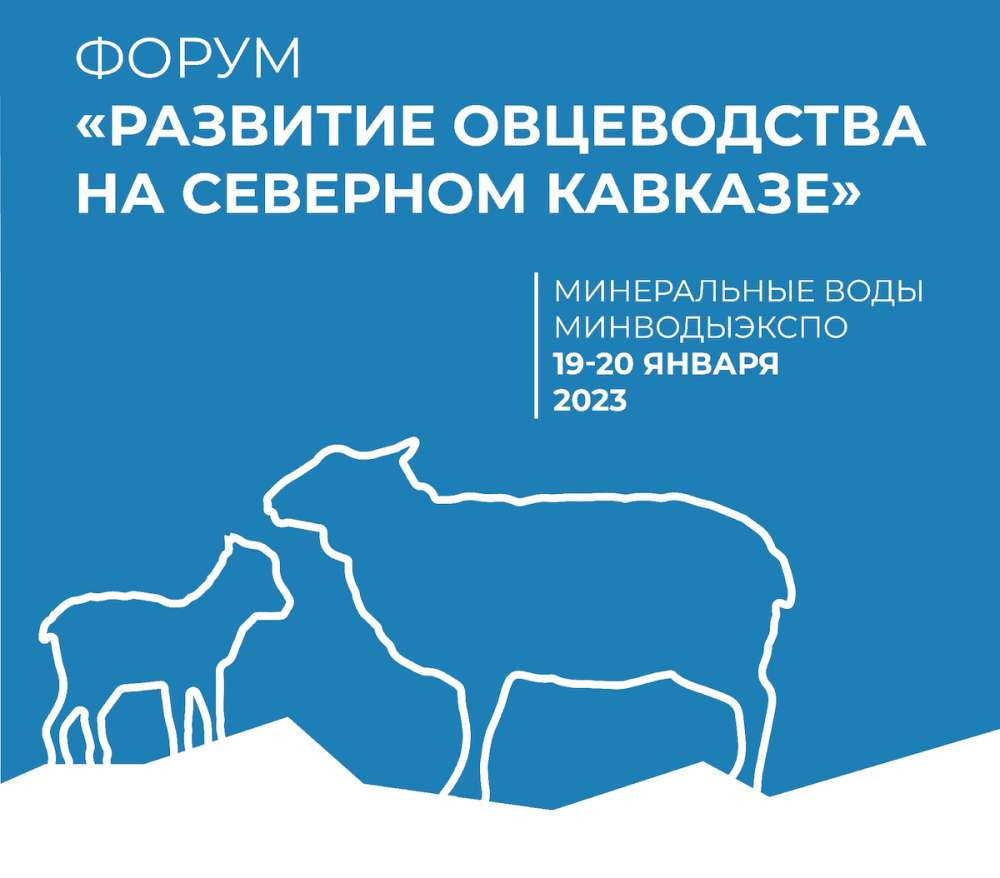 В Минводах пройдет форум «Развитие овцеводства на Северном Кавказе»