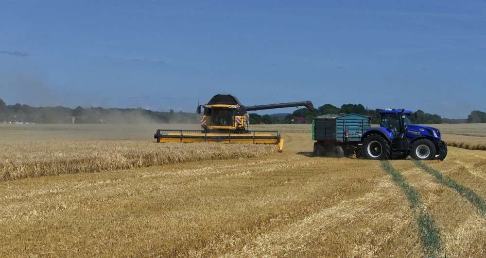 Урожай российской пшеницы в сезоне 2022/23 составит 80 млн тонн — МСХ США