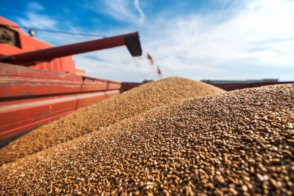 Минсельхоз США повысил прогнозы урожая и экспорта российской пшеницы 