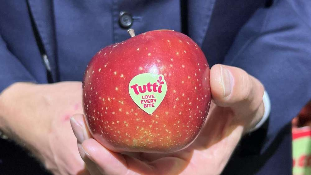 Новый сорт яблок Тутти для жаркого климата представлен на выставке Fruit Logistica