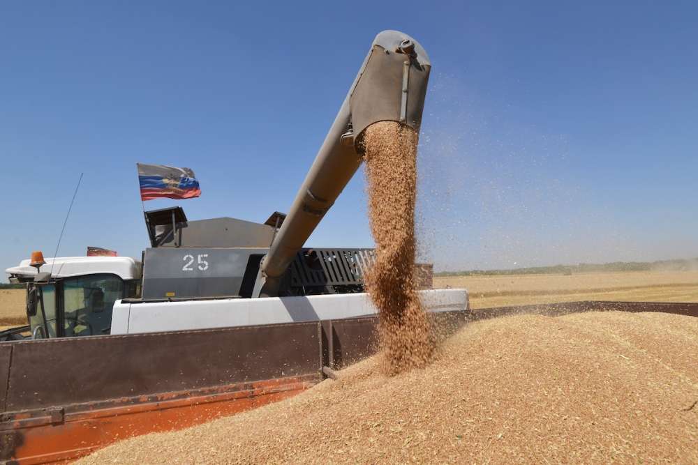 Россия может приостановить экспорт зерна до 1 июля
