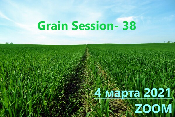 Grain Session-40