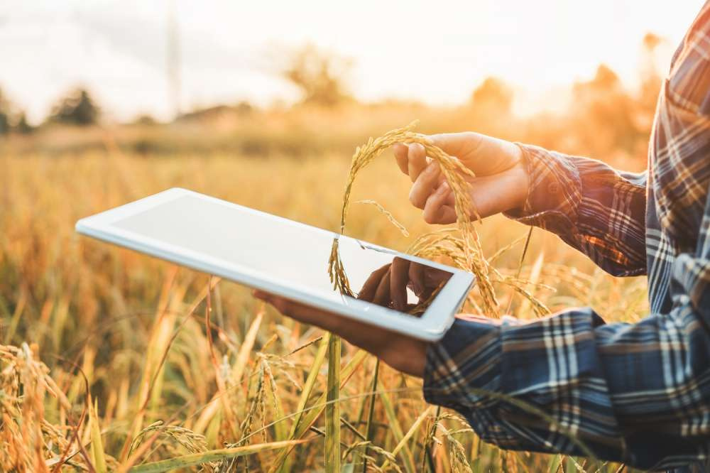 Syngenta открыла цифровую платформу Cropwise для разработчиков