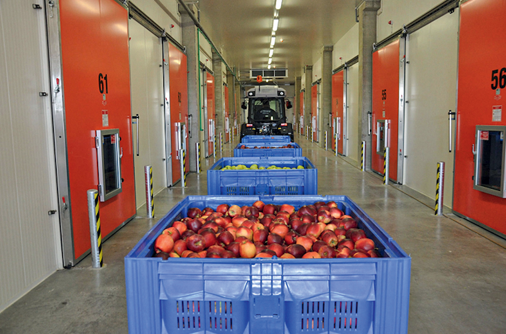 Сберечь для потребителя — условия для оптимальной сохранности фруктов и ягод собственного производства