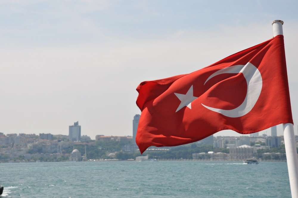Экспорт цитрусовых из Турции увеличился в 2023 году