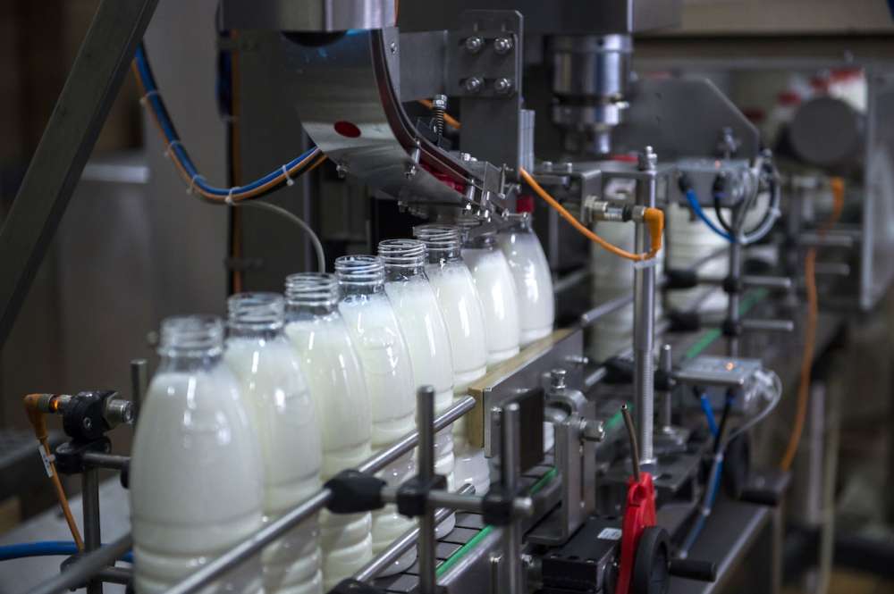 Прогноз: производство молока в России вырастет в 2021 году до 31,8 млн тонн