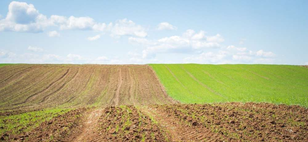 Концерн BASF объявил о своих десятилетних планах в сельском хозяйстве