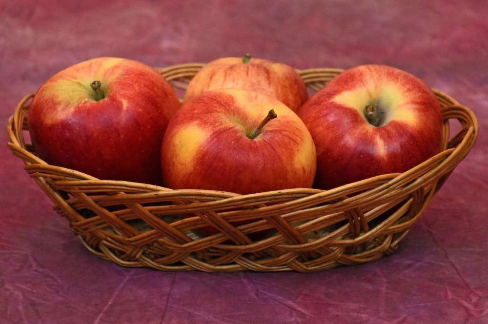 Обработка яблок аминоэтоксивинилглицином увеличивает срок хранения