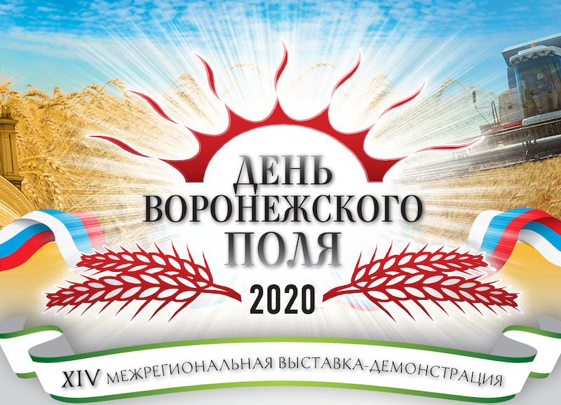 Поля 2020